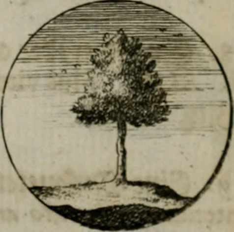 An illustration from Devises et emblemes anciennes & modernes, tirées des plus celebres auteurs, oder, Emblematische Gemüths-Vergnügung : bey Betrachtung siben hundert und funffzehen der curieusesten und ergötzlichen Sinn-Bildern, mit ihren zuständigen teutsch-lateinisch-französisch- und italianischen Beyschrifften, 1695, leaf 66