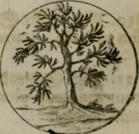 An illustration from Devises et emblemes anciennes & modernes, tirées des plus celebres auteurs, oder, Emblematische Gemüths-Vergnügung : bey Betrachtung siben hundert und funffzehen der curieusesten und ergötzlichen Sinn-Bildern, mit ihren zuständigen teutsch-lateinisch-französisch- und italianischen Beyschrifften, 1695, leaf 66