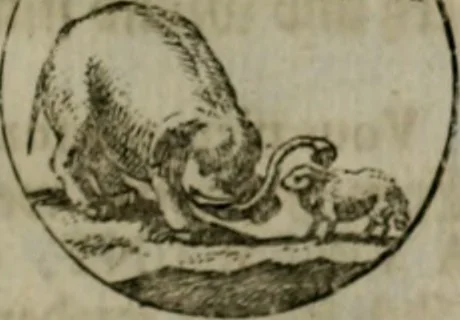 An illustration from Devises et emblemes anciennes & modernes, tirées des plus celebres auteurs, oder, Emblematische Gemüths-Vergnügung : bey Betrachtung siben hundert und funffzehen der curieusesten und ergötzlichen Sinn-Bildern, mit ihren zuständigen teutsch-lateinisch-französisch- und italianischen Beyschrifften, 1695, leaf 70