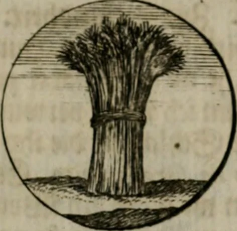An illustration from Devises et emblemes anciennes & modernes, tirées des plus celebres auteurs, oder, Emblematische Gemüths-Vergnügung : bey Betrachtung siben hundert und funffzehen der curieusesten und ergötzlichen Sinn-Bildern, mit ihren zuständigen teutsch-lateinisch-französisch- und italianischen Beyschrifften, 1695, leaf 70