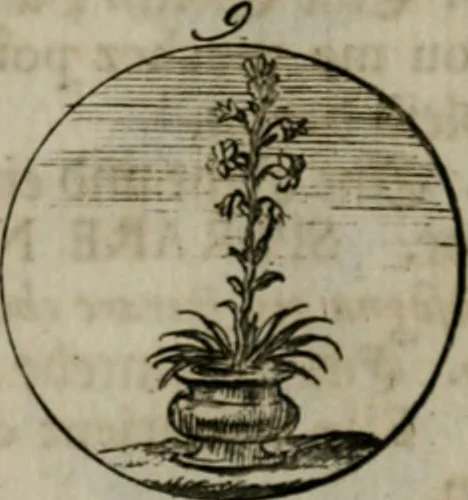 An illustration from Devises et emblemes anciennes & modernes, tirées des plus celebres auteurs, oder, Emblematische Gemüths-Vergnügung : bey Betrachtung siben hundert und funffzehen der curieusesten und ergötzlichen Sinn-Bildern, mit ihren zuständigen teutsch-lateinisch-französisch- und italianischen Beyschrifften, 1695, leaf 70
