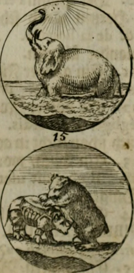 An illustration from Devises et emblemes anciennes & modernes, tirées des plus celebres auteurs, oder, Emblematische Gemüths-Vergnügung : bey Betrachtung siben hundert und funffzehen der curieusesten und ergötzlichen Sinn-Bildern, mit ihren zuständigen teutsch-lateinisch-französisch- und italianischen Beyschrifften, 1695, leaf 70