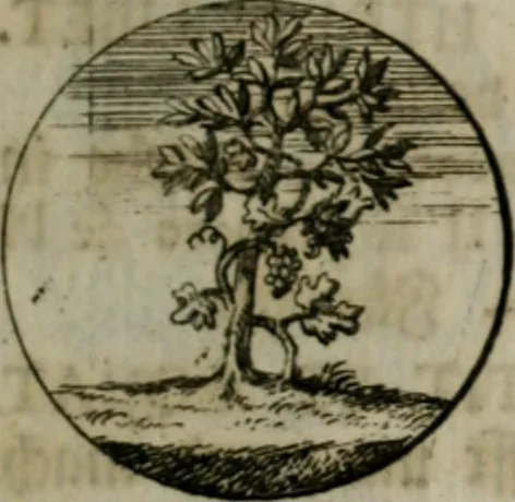 An illustration from Devises et emblemes anciennes & modernes, tirées des plus celebres auteurs, oder, Emblematische Gemüths-Vergnügung : bey Betrachtung siben hundert und funffzehen der curieusesten und ergötzlichen Sinn-Bildern, mit ihren zuständigen teutsch-lateinisch-französisch- und italianischen Beyschrifften, 1695, leaf 72