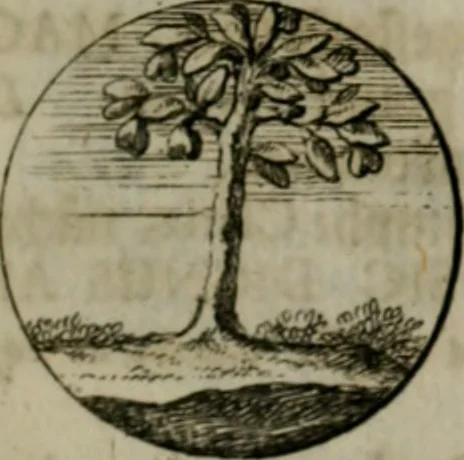 An illustration from Devises et emblemes anciennes & modernes, tirées des plus celebres auteurs, oder, Emblematische Gemüths-Vergnügung : bey Betrachtung siben hundert und funffzehen der curieusesten und ergötzlichen Sinn-Bildern, mit ihren zuständigen teutsch-lateinisch-französisch- und italianischen Beyschrifften, 1695, leaf 72
