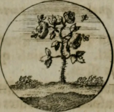 An illustration from Devises et emblemes anciennes & modernes, tirées des plus celebres auteurs, oder, Emblematische Gemüths-Vergnügung : bey Betrachtung siben hundert und funffzehen der curieusesten und ergötzlichen Sinn-Bildern, mit ihren zuständigen teutsch-lateinisch-französisch- und italianischen Beyschrifften, 1695, leaf 72