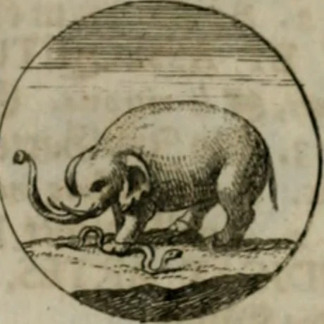An illustration from Devises et emblemes anciennes & modernes, tirées des plus celebres auteurs, oder, Emblematische Gemüths-Vergnügung : bey Betrachtung siben hundert und funffzehen der curieusesten und ergötzlichen Sinn-Bildern, mit ihren zuständigen teutsch-lateinisch-französisch- und italianischen Beyschrifften, 1695, leaf 72