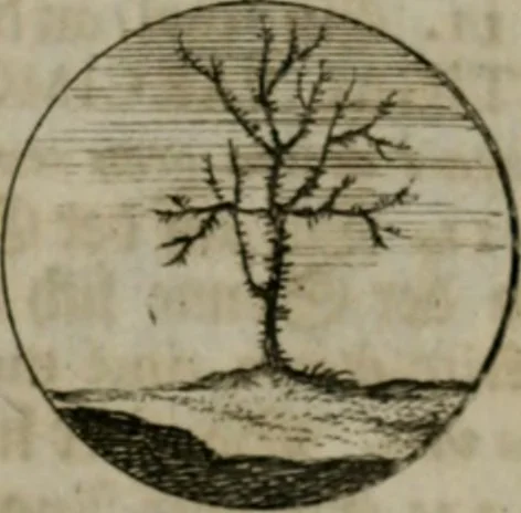 An illustration from Devises et emblemes anciennes & modernes, tirées des plus celebres auteurs, oder, Emblematische Gemüths-Vergnügung : bey Betrachtung siben hundert und funffzehen der curieusesten und ergötzlichen Sinn-Bildern, mit ihren zuständigen teutsch-lateinisch-französisch- und italianischen Beyschrifften, 1695, leaf 72