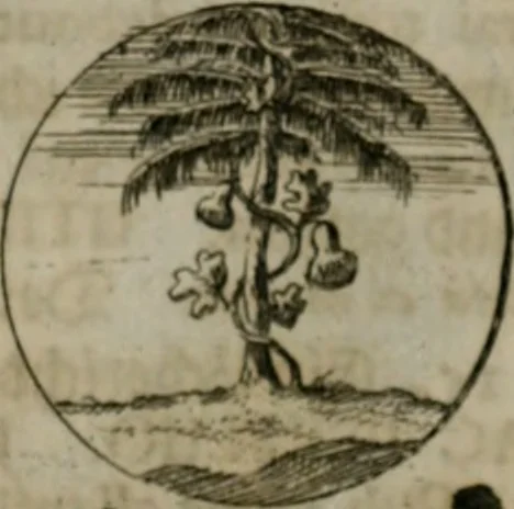 An illustration from Devises et emblemes anciennes & modernes, tirées des plus celebres auteurs, oder, Emblematische Gemüths-Vergnügung : bey Betrachtung siben hundert und funffzehen der curieusesten und ergötzlichen Sinn-Bildern, mit ihren zuständigen teutsch-lateinisch-französisch- und italianischen Beyschrifften, 1695, leaf 72