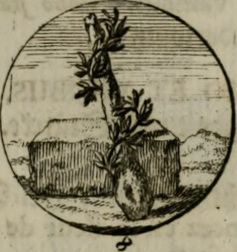 An illustration from Devises et emblemes anciennes & modernes, tirées des plus celebres auteurs, oder, Emblematische Gemüths-Vergnügung : bey Betrachtung siben hundert und funffzehen der curieusesten und ergötzlichen Sinn-Bildern, mit ihren zuständigen teutsch-lateinisch-französisch- und italianischen Beyschrifften, 1695, leaf 74