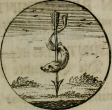 An illustration from Devises et emblemes anciennes & modernes, tirées des plus celebres auteurs, oder, Emblematische Gemüths-Vergnügung : bey Betrachtung siben hundert und funffzehen der curieusesten und ergötzlichen Sinn-Bildern, mit ihren zuständigen teutsch-lateinisch-französisch- und italianischen Beyschrifften, 1695, leaf 80