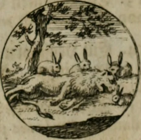 An illustration from Devises et emblemes anciennes & modernes, tirées des plus celebres auteurs, oder, Emblematische Gemüths-Vergnügung : bey Betrachtung siben hundert und funffzehen der curieusesten und ergötzlichen Sinn-Bildern, mit ihren zuständigen teutsch-lateinisch-französisch- und italianischen Beyschrifften, 1695, leaf 80