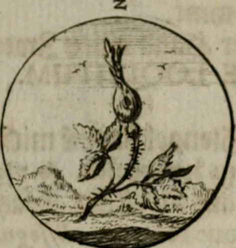An illustration from Devises et emblemes anciennes & modernes, tirées des plus celebres auteurs, oder, Emblematische Gemüths-Vergnügung : bey Betrachtung siben hundert und funffzehen der curieusesten und ergötzlichen Sinn-Bildern, mit ihren zuständigen teutsch-lateinisch-französisch- und italianischen Beyschrifften, 1695, leaf 84