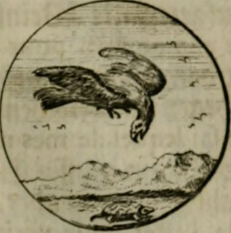 An illustration from Devises et emblemes anciennes & modernes, tirées des plus celebres auteurs, oder, Emblematische Gemüths-Vergnügung : bey Betrachtung siben hundert und funffzehen der curieusesten und ergötzlichen Sinn-Bildern, mit ihren zuständigen teutsch-lateinisch-französisch- und italianischen Beyschrifften, 1695, leaf 84