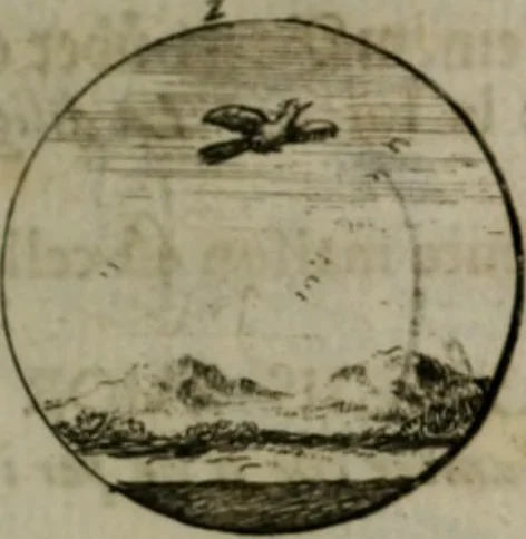 An illustration from Devises et emblemes anciennes & modernes, tirées des plus celebres auteurs, oder, Emblematische Gemüths-Vergnügung : bey Betrachtung siben hundert und funffzehen der curieusesten und ergötzlichen Sinn-Bildern, mit ihren zuständigen teutsch-lateinisch-französisch- und italianischen Beyschrifften, 1695, leaf 88