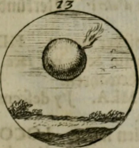 An illustration from Devises et emblemes anciennes & modernes, tirées des plus celebres auteurs, oder, Emblematische Gemüths-Vergnügung : bey Betrachtung siben hundert und funffzehen der curieusesten und ergötzlichen Sinn-Bildern, mit ihren zuständigen teutsch-lateinisch-französisch- und italianischen Beyschrifften, 1695, leaf 88
