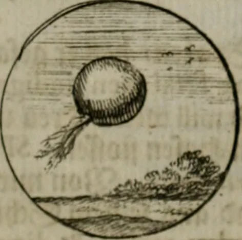 An illustration from Devises et emblemes anciennes & modernes, tirées des plus celebres auteurs, oder, Emblematische Gemüths-Vergnügung : bey Betrachtung siben hundert und funffzehen der curieusesten und ergötzlichen Sinn-Bildern, mit ihren zuständigen teutsch-lateinisch-französisch- und italianischen Beyschrifften, 1695, leaf 88