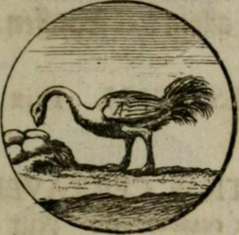 An illustration from Devises et emblemes anciennes & modernes, tirées des plus celebres auteurs, oder, Emblematische Gemüths-Vergnügung : bey Betrachtung siben hundert und funffzehen der curieusesten und ergötzlichen Sinn-Bildern, mit ihren zuständigen teutsch-lateinisch-französisch- und italianischen Beyschrifften, 1695, leaf 90