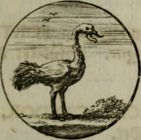 An illustration from Devises et emblemes anciennes & modernes, tirées des plus celebres auteurs, oder, Emblematische Gemüths-Vergnügung : bey Betrachtung siben hundert und funffzehen der curieusesten und ergötzlichen Sinn-Bildern, mit ihren zuständigen teutsch-lateinisch-französisch- und italianischen Beyschrifften, 1695, leaf 90