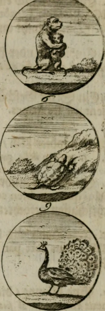 An illustration from Devises et emblemes anciennes & modernes, tirées des plus celebres auteurs, oder, Emblematische Gemüths-Vergnügung : bey Betrachtung siben hundert und funffzehen der curieusesten und ergötzlichen Sinn-Bildern, mit ihren zuständigen teutsch-lateinisch-französisch- und italianischen Beyschrifften, 1695, leaf 90