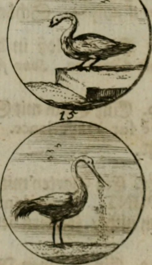 An illustration from Devises et emblemes anciennes & modernes, tirées des plus celebres auteurs, oder, Emblematische Gemüths-Vergnügung : bey Betrachtung siben hundert und funffzehen der curieusesten und ergötzlichen Sinn-Bildern, mit ihren zuständigen teutsch-lateinisch-französisch- und italianischen Beyschrifften, 1695, leaf 90