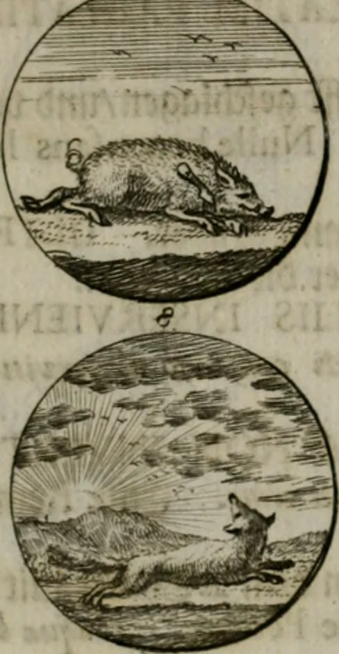 An illustration from Devises et emblemes anciennes & modernes, tirées des plus celebres auteurs, oder, Emblematische Gemüths-Vergnügung : bey Betrachtung siben hundert und funffzehen der curieusesten und ergötzlichen Sinn-Bildern, mit ihren zuständigen teutsch-lateinisch-französisch- und italianischen Beyschrifften, 1695, leaf 94