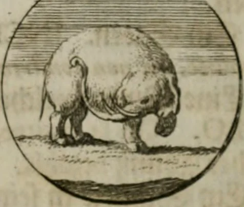 An illustration from Devises et emblemes anciennes & modernes, tirées des plus celebres auteurs, oder, Emblematische Gemüths-Vergnügung : bey Betrachtung siben hundert und funffzehen der curieusesten und ergötzlichen Sinn-Bildern, mit ihren zuständigen teutsch-lateinisch-französisch- und italianischen Beyschrifften, 1695, leaf 96