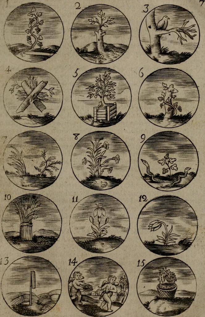 An illustration from Devises et emblemes, anciennes et modernes : tirées des plus celebres auteurs, avec plusieurs autres nouvellemt, inventées et mises, en latin, en françois, en espagnol, en italien, en anglois, en flamand et en allemand, 1693, leaf 20
