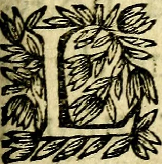 An illustration from Devises et emblesmes d'amour moralisez, 1672, leaf 138