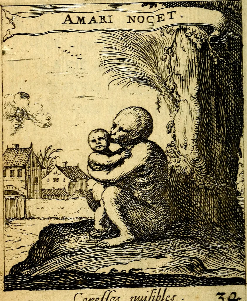 An illustration from Devises et emblesmes d'amour moralisez, 1672, leaf 141