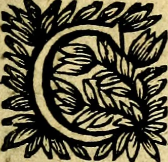 An illustration from Devises et emblesmes d'amour moralisez, 1672, leaf 170