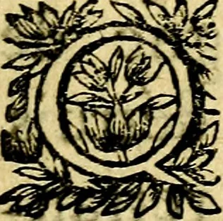An illustration from Devises et emblesmes d'amour moralisez, 1672, leaf 190