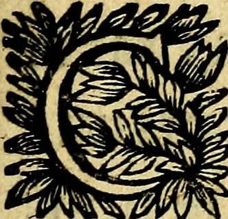 An illustration from Devises et emblesmes d'amour moralisez, 1672, leaf 198