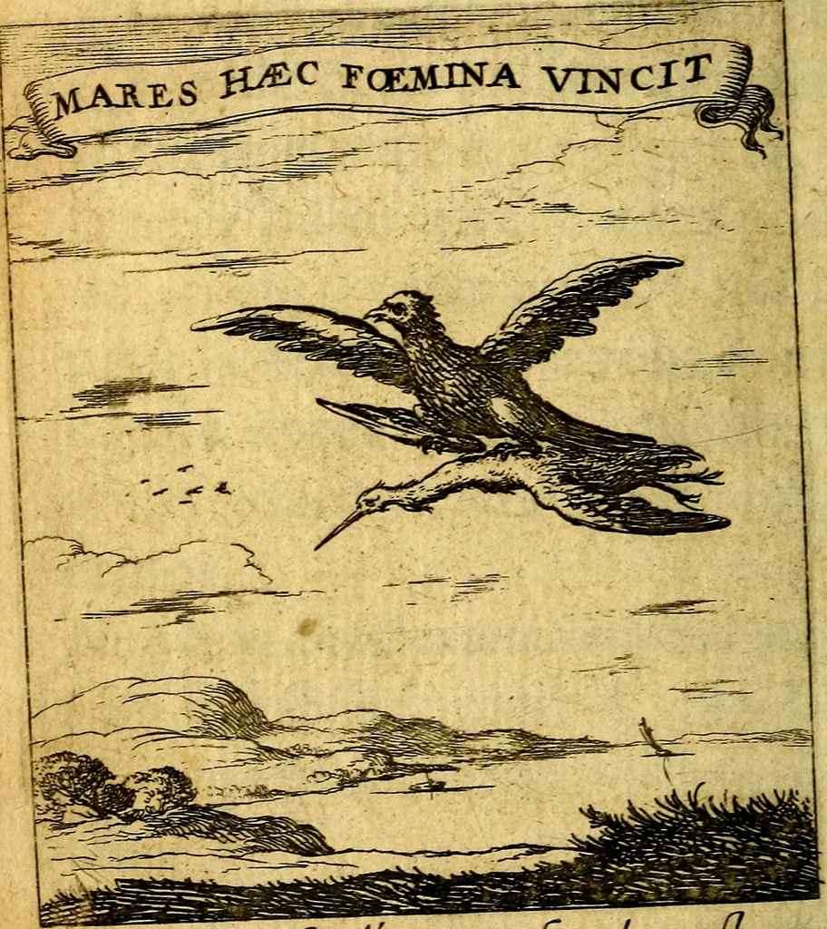 An illustration from Devises et emblesmes d'amour moralisez, 1672, leaf 205