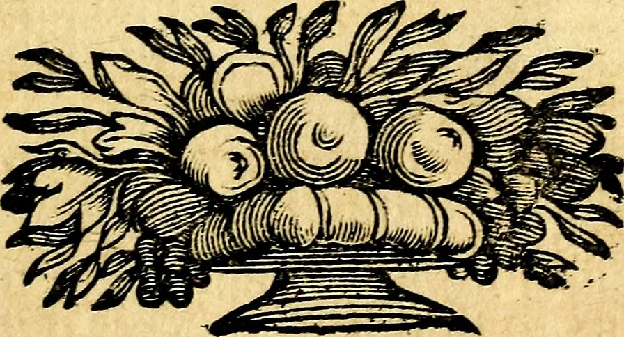An illustration from Devises et emblesmes d'amour moralisez, 1672, leaf 216