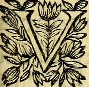 An illustration from Devises et emblesmes d'amour moralisez, 1672, leaf 22