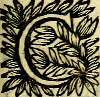An illustration from Devises et emblesmes d'amour moralisez, 1672, leaf 30