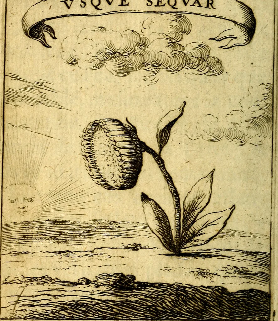 An illustration from Devises et emblesmes d'amour moralisez, 1672, leaf 45