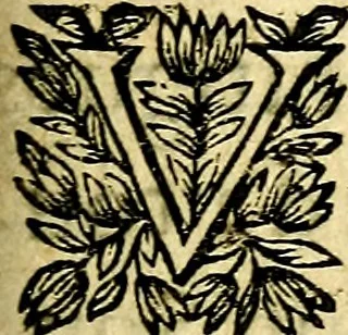 An illustration from Devises et emblesmes d'amour moralisez, 1672, leaf 70