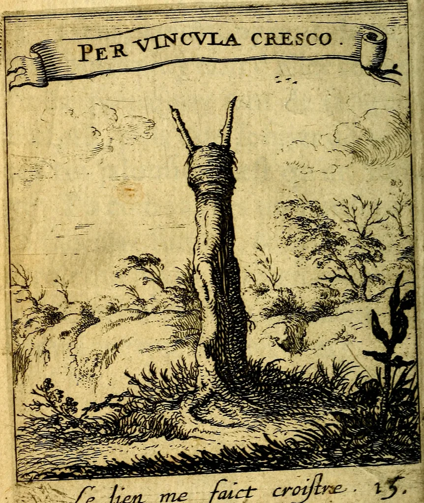 An illustration from Devises et emblesmes d'amour moralisez, 1672, leaf 73