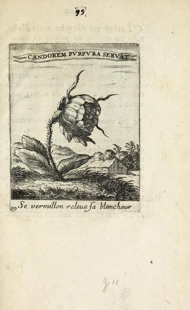 An illustration from Devises et emblesmes d'amour moralisez, 1658, leaf 109