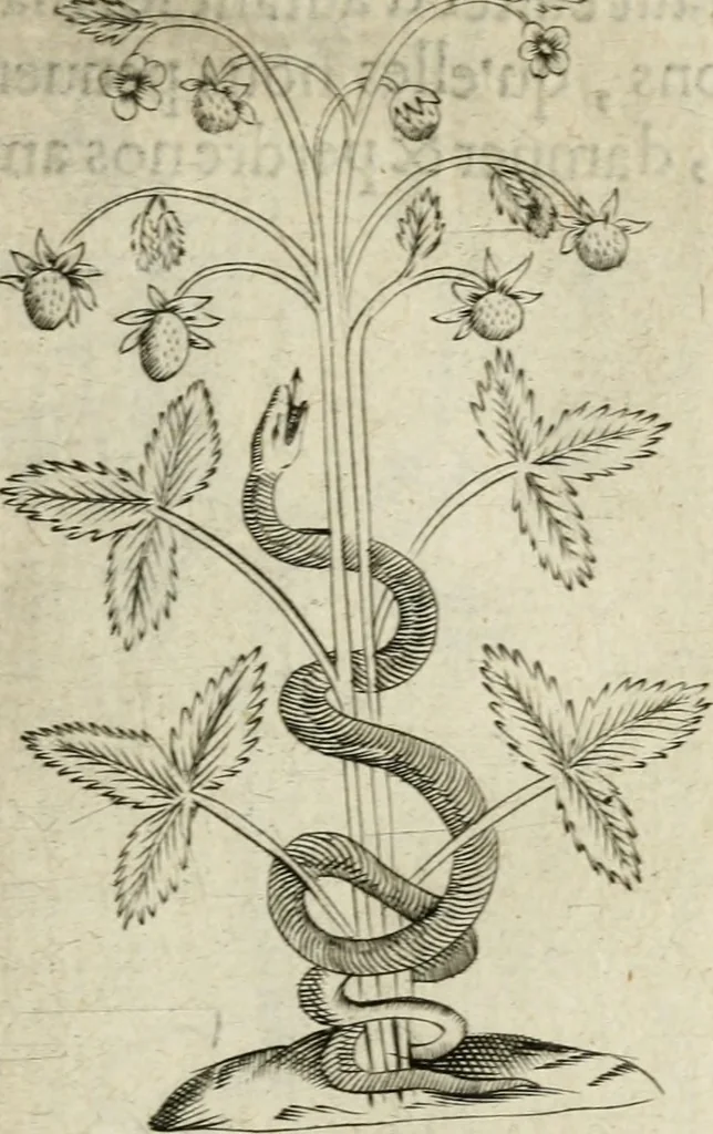 An illustration from Devises heroiques et emblemes, 1622, leaf 104