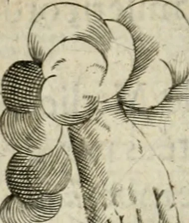 An illustration from Devises heroiques et emblemes, 1622, leaf 163