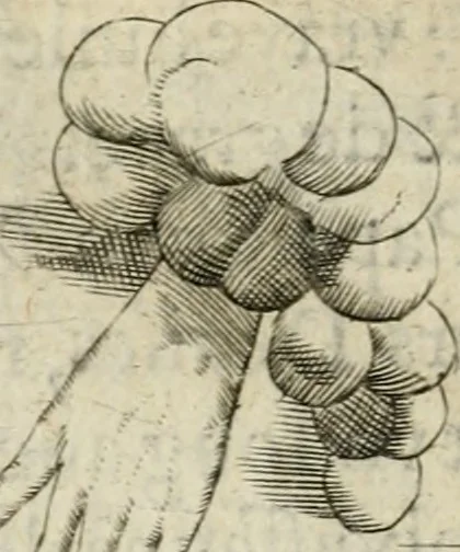 An illustration from Devises heroiques et emblemes, 1622, leaf 163