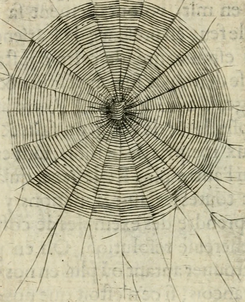 An illustration from Devises heroiques et emblemes, 1622, leaf 177