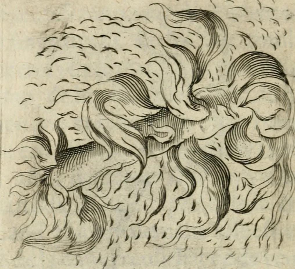 An illustration from Devises heroiques et emblemes, 1622, leaf 195