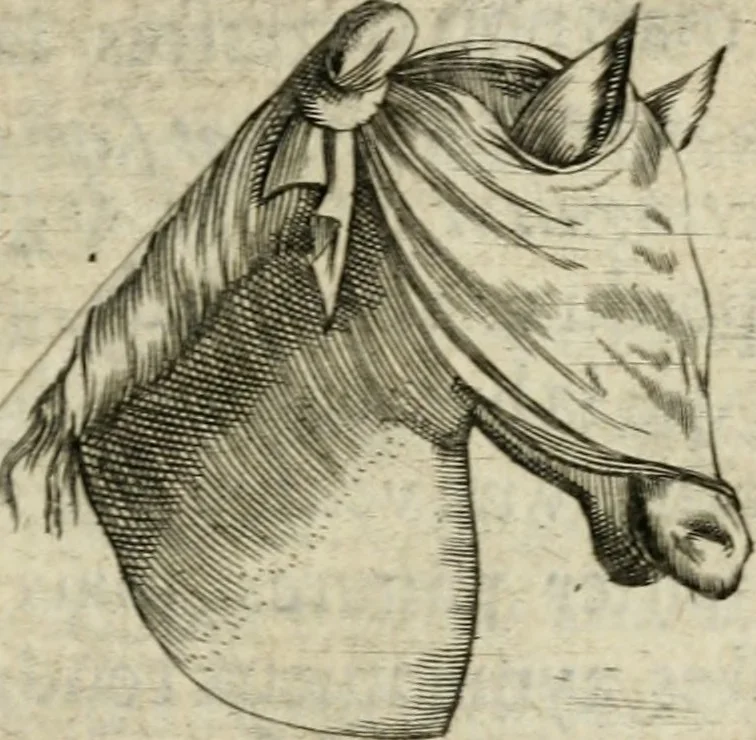An illustration from Devises heroiques et emblemes, 1622, leaf 196