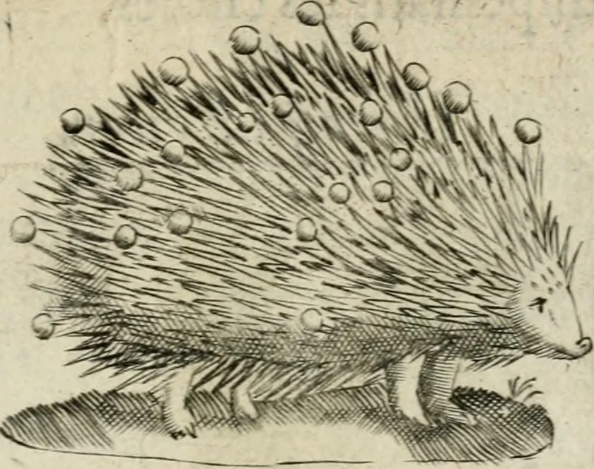An illustration from Devises heroiques et emblemes, 1622, leaf 198