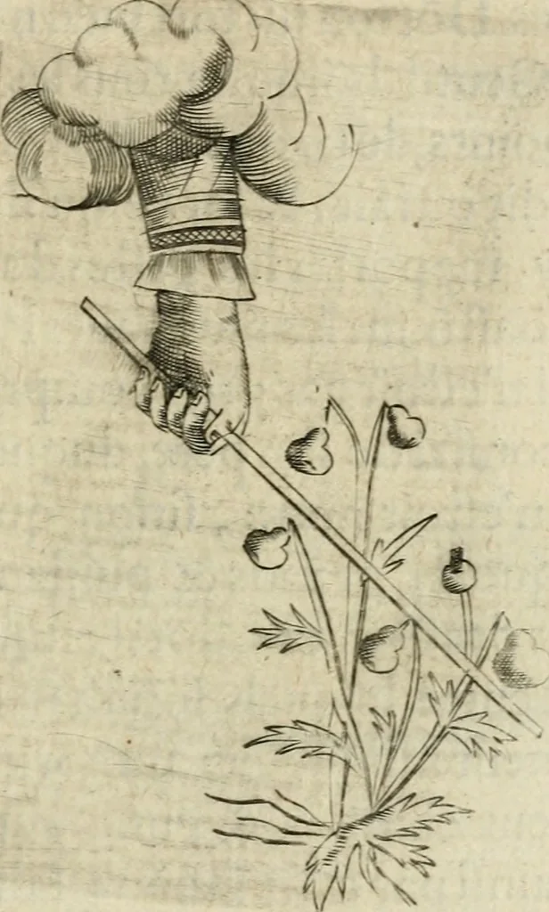 An illustration from Devises heroiques et emblemes, 1622, leaf 202