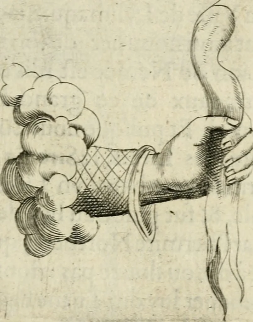 An illustration from Devises heroiques et emblemes, 1622, leaf 208