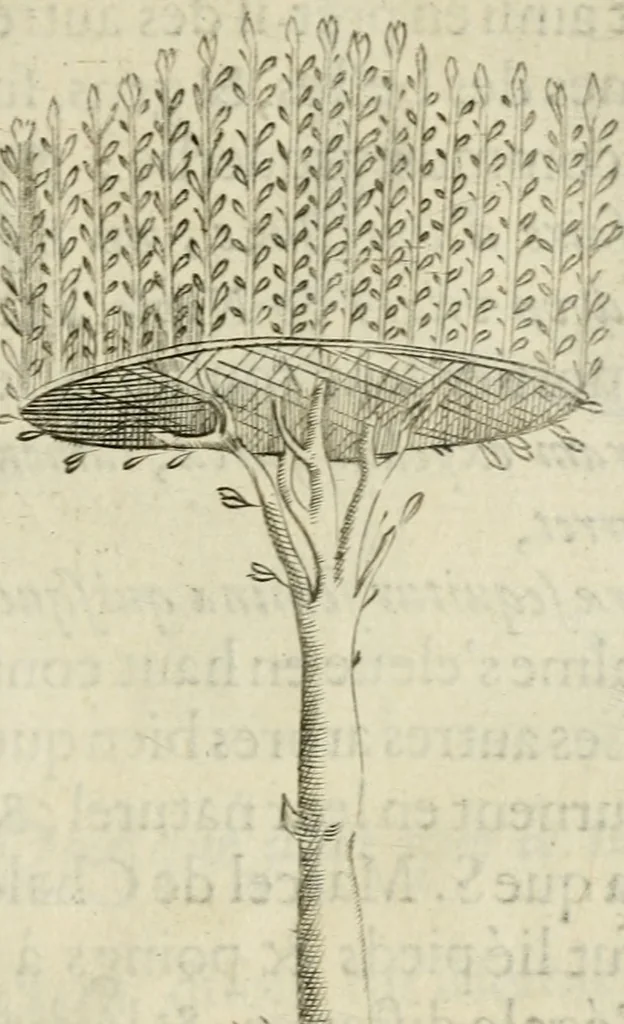 An illustration from Devises heroiques et emblemes, 1622, leaf 210